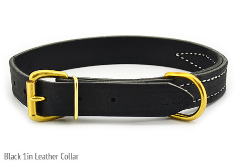 What Collar is Right for Your German Shepherd?