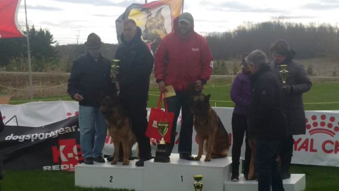 Ekio wins first place at dog show