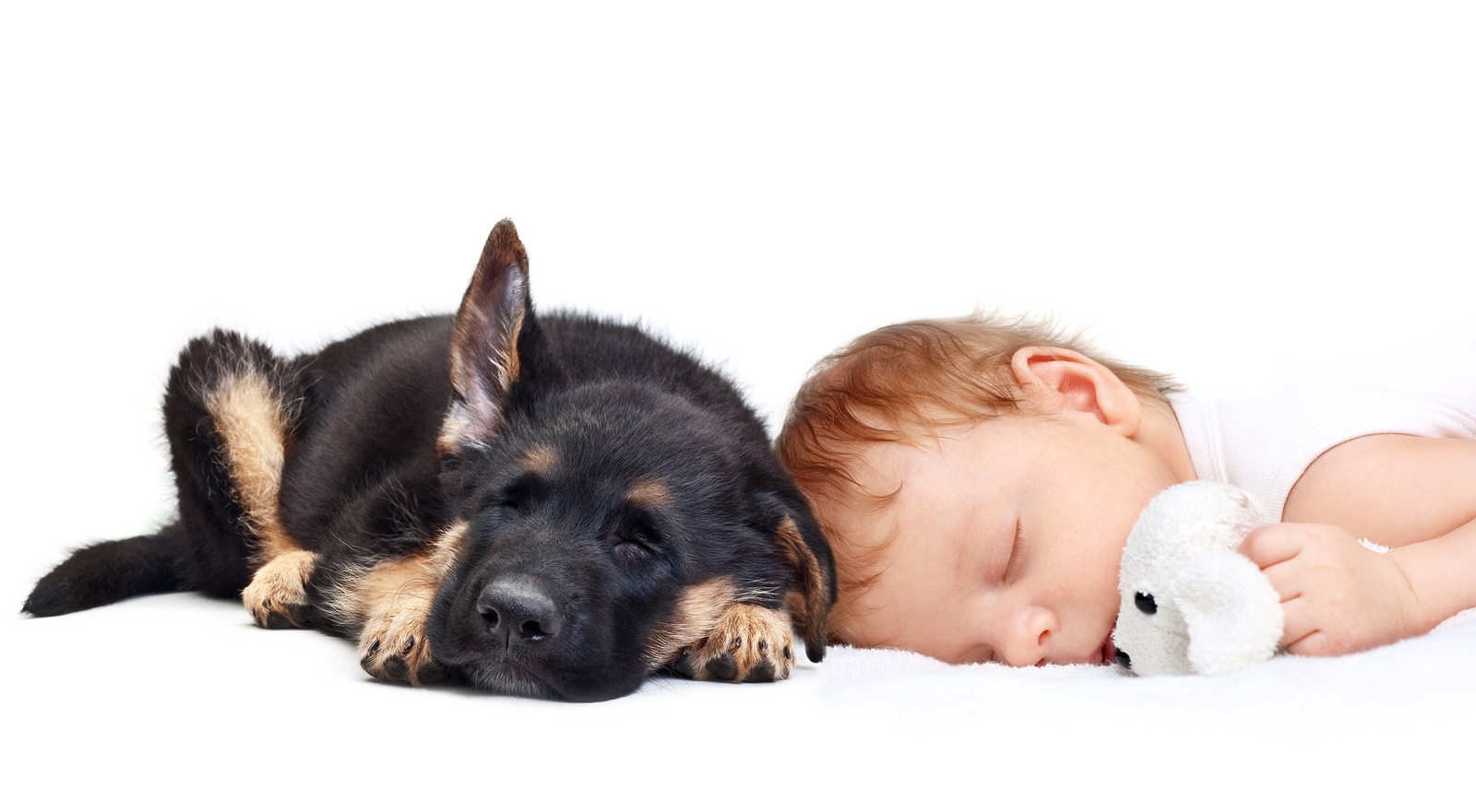 Sleeping Baby Boy with toy dog and puppy.